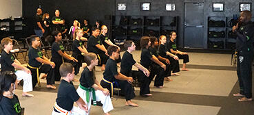 Martial Arts Lesson