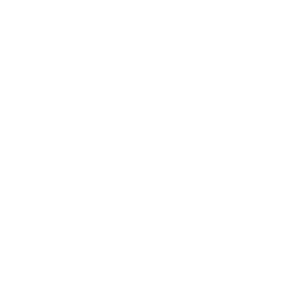 ares bjj logo